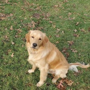 Meet your Posher, Dylan